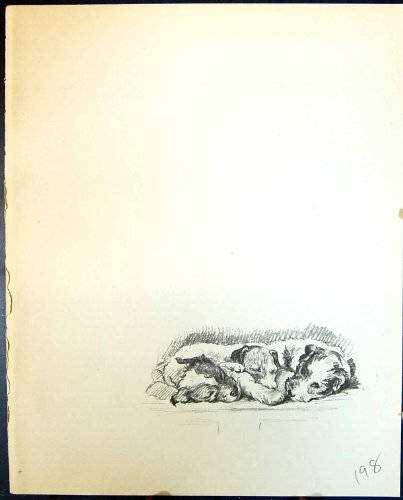 Impresión 1936 de la Antigüedad de Lucy Dawson de los Animales de los Perros Caseros de los Perritos de Terrier