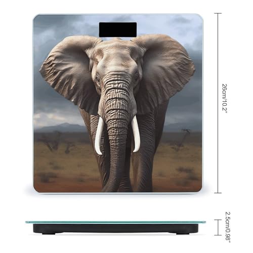 Báscula digital de baño con vidrio templado y LCD miniatura 2