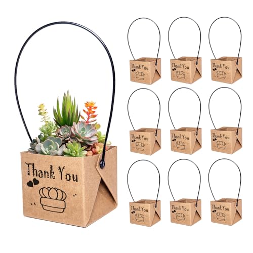 ALLWSLucky 100 Pcs Mini Cajas De Suculentas, 5,1 cm Maceta de Papel para Plantas suculentas, Bolsas para Envolver Suculenta, Envoltorios de suculenta con Asas de plástico (Marrón, 100pcs)