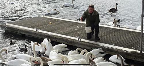 Cyril Bennis (Stratford Swan Rescue)