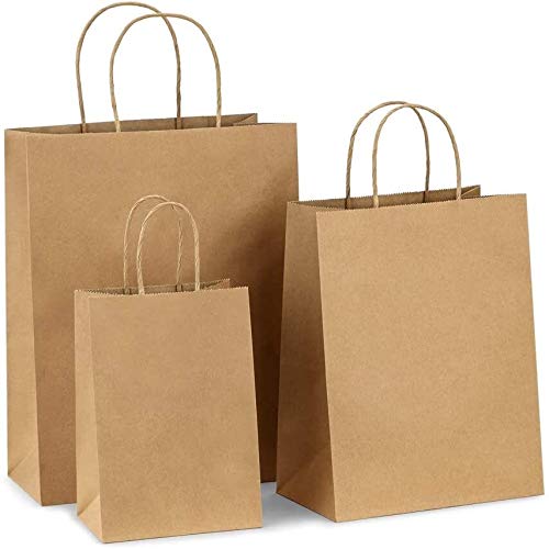 MURUI 10 STKS Gift Bags Kraft Paper Bag, Party Bags, Retail Bags, Winkelzakken, Bruin Papieren Zakken met Handvatten Recyclebaar Papier YC0222 (Kleur: Craft Papier 10 stuks, Gift Bag Maat: 21x16x8 cm)