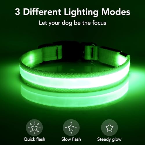 LED Dog Collar, Light Up Dog Collar Adjustable USB Rechargeable Super Bright Safety Light Glowing Collars for Dogs(Large,Green) LED Dog Collar, Light Up Dog Collar Adjustable USB Rechargeable Super Bright Safety Light Glowing Collars for Dogs(Large,Green)