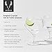 Viski Raye Angled Stemmed Gin and Tonic Glasses Set of 2 - Premium Crystal Clear Cocktail Gin Glasses for Gin Lovers Gift Set - 14oz