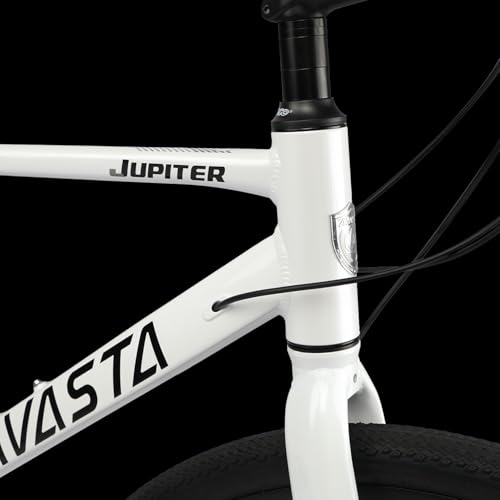 AVASTA Jupiter 700C Road Adult Step-Over Hybrid Cycling Bike