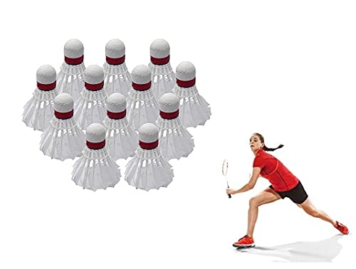 Glan Training Exercise Feather Badminton Shuttlecocks for Tennis 10 Pcs White (B0966RRHK1) Amazon Price History, Amazon Price Tracker