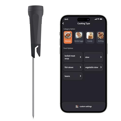 Thermomètre sans fil Bluetooth de cuisine avec sonde de 12 cm pour cuisson sous vide et poêle