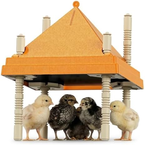 Amazon.com: Chick Brooder Heating Plate with Anti-Roosting Cone Cover ...