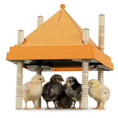 Chick Brooder Heating Plate with Anti-Roosting Cone Cover, 10 x 10 Brooder Heater for 10-12 Chicks, Adjustable Height & Angle, Safe Energy-Saving Radiant Heat, Prevents Roosting & Keeps Top Clean