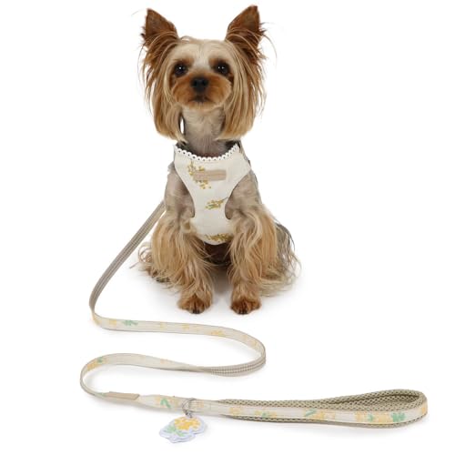 ybgp_CX  n[lX  [h ~U X n[lX [h  rr