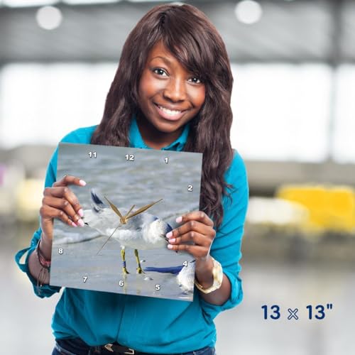 Reloj de pared 3dRose Seagull 13x13 pulgadas miniatura 5