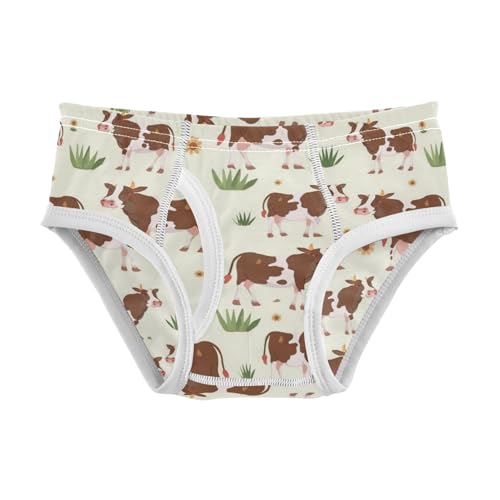 Wusikd Brown White Cow Boys' Underwear Cotton Grass Boys Briefs Soft Toddler Underwear 2T