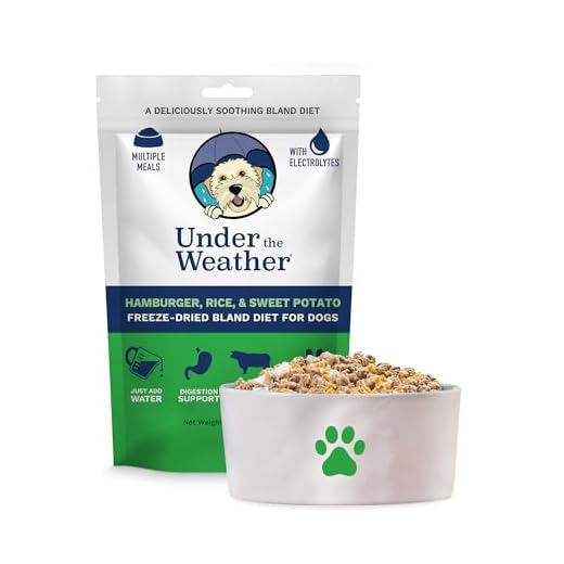 Under the Weather Bland Diet for Dogs | Easy to Digest for Sick Dogs |Always Be Ready| Contains Electrolytes - Natural Freeze Dried 100% Human Grade Meats| 1 Pack- Rice, Hamburger & Sweet Potato - 6oz