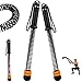1 pair Weighted Ropeless Battle Ropes，Heavy Duty Portable Cordless Battle Ropes for Home Gym, HIIT and Low-Impact Aerobic Training for Men & Women (Black)