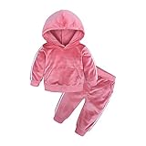 Boys Girls 2Pcs Velvet Hooded Tracksuit Toddler Kids Fleece Hoody Top + Sweatpants Sweatsuit Outfits Set