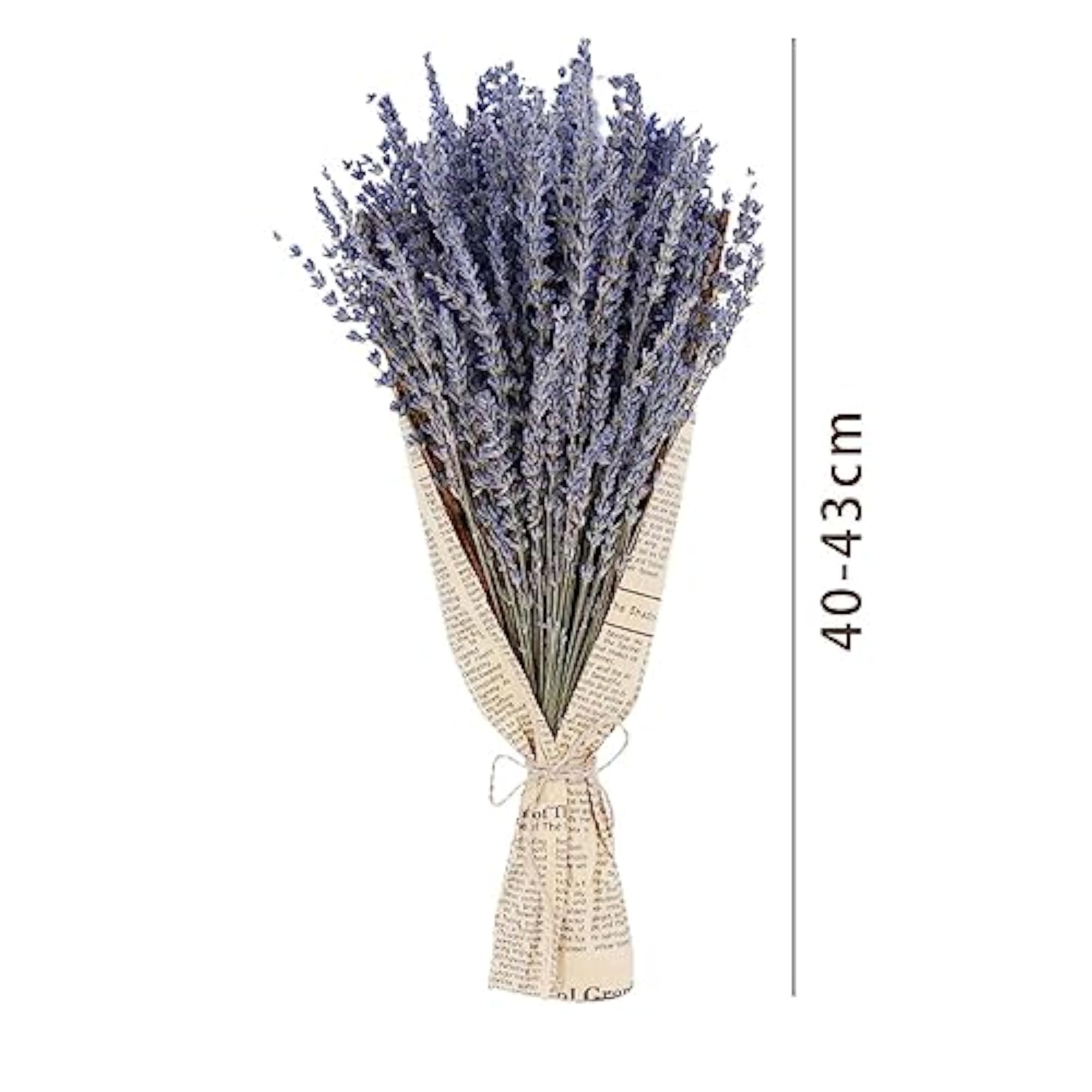 Dried Lavender Flower Bunches for DIY Crafts
