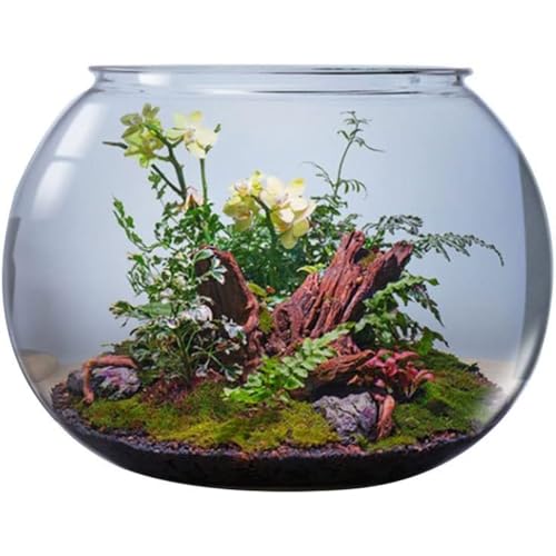 アクリル 水槽 45cm」の人気商品一覧 | 安い商品を通販サイトから探す