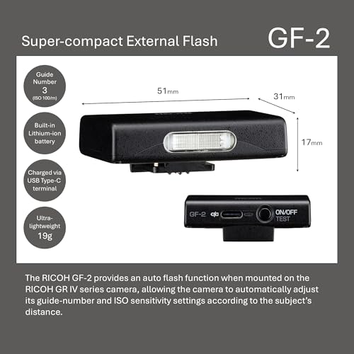 Ricoh Compact Blitz GF-2