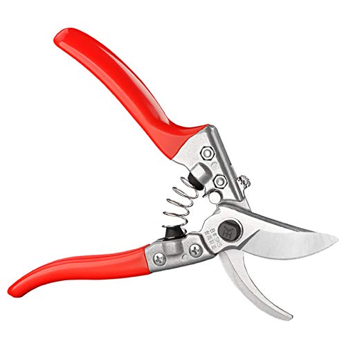 sealaye Gardening Shears Professional Garden Pruners Sharp Pruning Hand Shears with Stainless Steel SK5 for Effortless Cutsfor Trimming Herb Flower Rose Bush Vegetables Bonsai Other Plants (8 Red)
