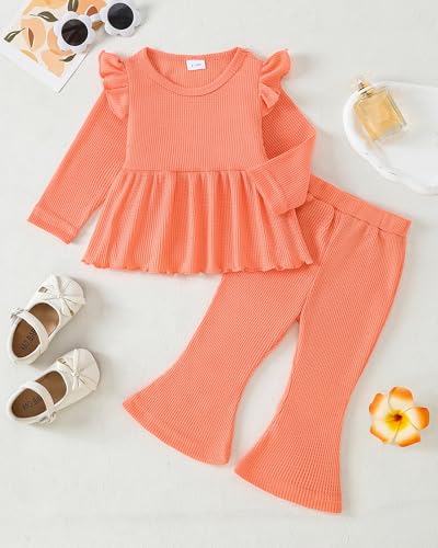 Image of Weebaby Toddler Girl Clothes Infant Girl Sweatsuit Baby Pant Set Outfits Fall Winter Clothing Little Clothes for Girl