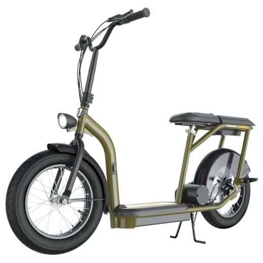 Razor EcoSmart Cargo - GR ISTA