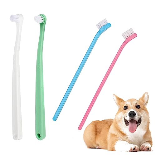 dog toothbrushes