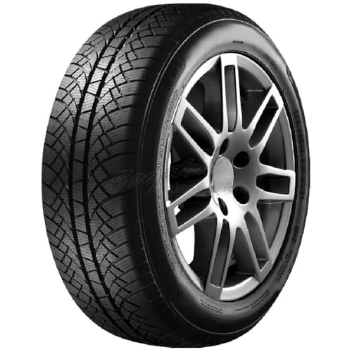 SUNNY - Pneumatici invernali 185/65 R15 TL 88T WINTERMAX NW611 M+S 3PMSF