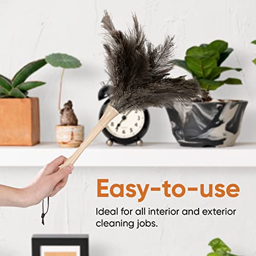 Image of Superio Ostrich Feather Duster Fluffy Dust Remover, with Wooden Handle Reusable for Cleaning Homes, Ceilings, and Furniture (3 Pack) (3 Pack)
