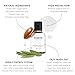 Alex Costa Hydrating Argan Oil Daily Hair Serum by Forte Series Sulfate Free Argan Hair Oil for Men Hair Serum for Dry Damaged Hair, for Styling Hair (75 ml / 2.5 oz)