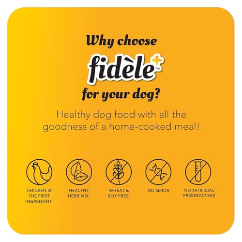 Image of Fidele+ Adult Large Breed Dog Food | 200g | Glucosamine for Joint Support | Omega 3 & 6 | High Protein | Muscle Strength & Coat Health
