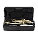 VPXTA Bb Trumpet for Beginner or Advanced Student with Trumpets Case and Pair of Gloves (Gold)