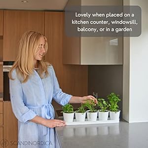 SCANDINORDICA White Herb Planter–5 Pots with Drainage Holes and Tray Windowsill Planter Indoor Planter Outdoor Herb Pots for Indoor Plants