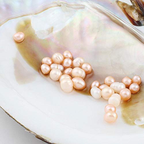 Cultured Pearls In Oysters,Freshwater Pearl Oysters With Pearls Inside Big Oyster Pearls In Oyster Anniversary Decoration For Jewelry Making Or Birthday Gifts (5-7Mm) #TOP4