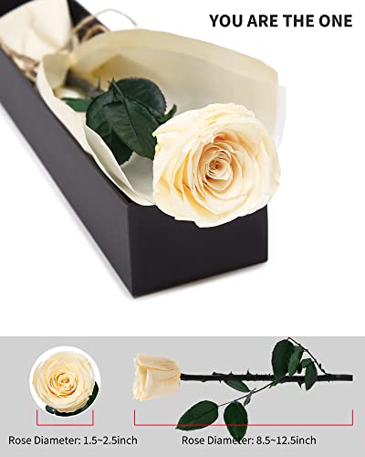 Image of Champagne Flowers for Delivery Prime, Preserved Champagne Roses Flower Gifts for Women, Real Roses Single Rose Gifts for Her, Mom Birthday Gifts from Daughter, Valentines Flowers