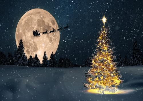 Toile fond photo nuit magique pour immortaliser la féerie de Noël