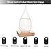 FOXKEY Creative Stylish Desktop Drops Storm Glass Crafts Weather Bottle Forecast Bottle Barometer for Birthday Christmas Unique Gift (Large)