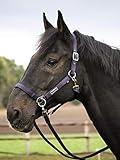 Busse
