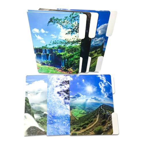 6 Sets of Decorative File Folder, The Design File Folders...