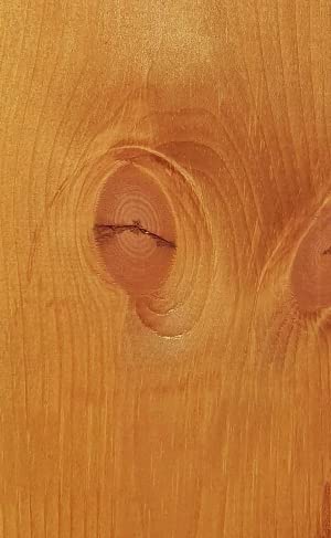 Parr's Water Based Wood Stain - Environmentally Friendly VOC Free - for Interior Woodwork - Golden Pine - 250ml - Image 2