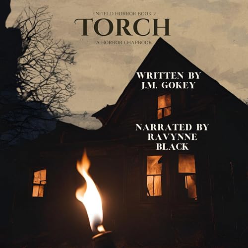 Torch Audiolivro Por J.M. Gokey capa