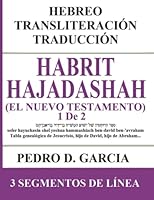 Habrit Hajadashah (El Nuevo Testamento) 1 de 2: Hebreo Transliteración Traducción: Mateo, Marcos, Lucas y Juan (Los Evangelios) con el original en ... Transliteración Español) (Spanish Edition) B0B2TTJT7D Book Cover