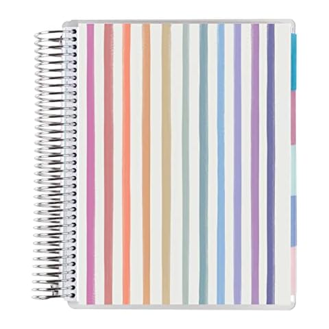 Platinum Coil Spiral Bound 12 Month Life Planner - Watercolor Stripes Colorful Classic Cover. Monthly Planner with Lined Note and Goals Pages. 80 Lb. Thick Mohawk Paper by Erin Condren Cover