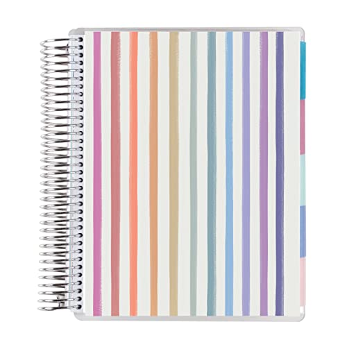 Platinum Coil Spiral Bound 12 Month Life Planner - Watercolor Stripes Colorful Classic Cover. Monthly Planner with Lined Note and Goals Pages. 80 Lb. Thick Mohawk Paper by Erin Condren
