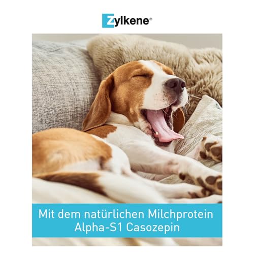 Vetoquinol Zylkene 225 mg | 50 Kapseln | Ergänzungsfuttermittel für Hunde | Zur Unterstützung in ungewohnten Situationen | Mit Trypsin-hydrolysiertem Rinder-Kasein