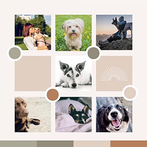 Smart Doggy Mental Health Smart Doggy Mental Health
