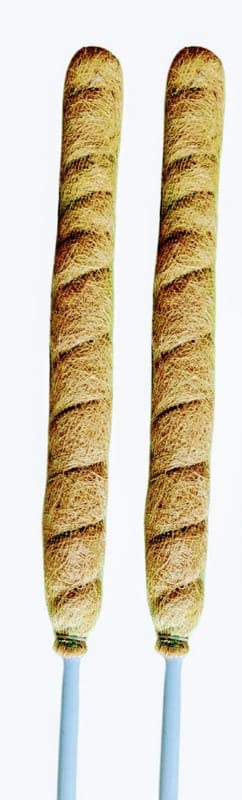 Kokocoirs Moss Stick for Plants Monstera, Coco Plant Pole for Climbing Indoor Potted Plants, Train Monstera Philodendron Pothos Creeper Plants Grow Coconut Husk (Pack of 2) (4 feet) (B0BT9BNVZK) Amazon Price History, Amazon Price Tracker