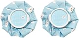 【お得な2個セット】 氷嚢 アイシング アイスバッグ スポーツ氷嚢 氷のう ひょうのう 発熱 ケガ 熱中症対策 暑さ対策 温冷対応 繰り返し ひんやり 冷却 アイシングバッグ アイシングパック スポーツ ゴルフ バスケ サッカー
