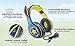 Paw Patrol Chase Headphones for Kids with Built in Volume Limiting Feature for Kid Friendly Safe Listening