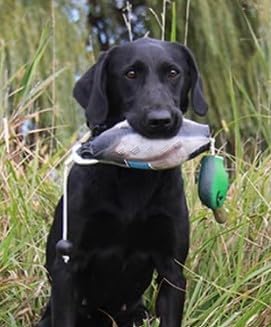 Hunting Dog Training Scents - Track & Retrieve for Upland Hunts