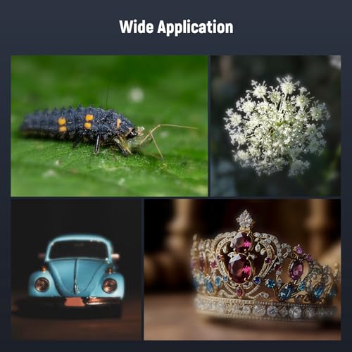 Image of NEEWER 75mm Macro Phone Camera Lens with 17mm Threaded Lens Clip, 3X Magnification, 5 Elements in 5 Groups for Backplate, Phone Cage, Case Compatible with iPhone Samsung Android, LS-73
