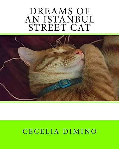 Preisvergleich Produktbild Dreams of an Istanbul Street Cat